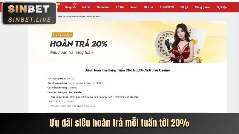 Ưu đãi và Khuyến mãi độc quyền từ wim33